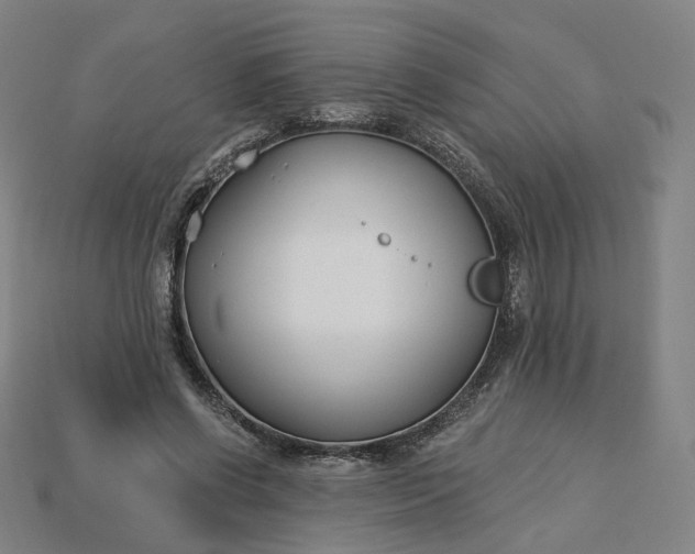 X0000115240542200911131706