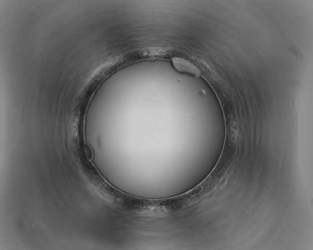 X0000115240543200911131706