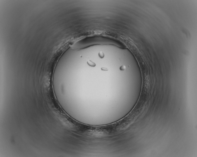 X0000115240545200911131706