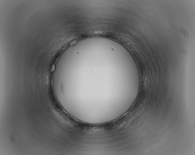 X0000115240546200911131706