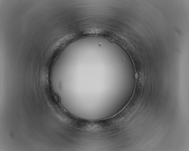 X0000115240547200911131706