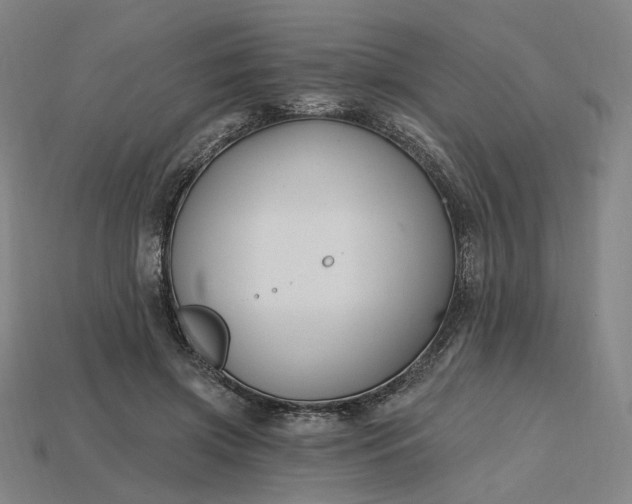X0000115240549200911131706