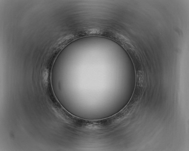 X0000115240550200911131706