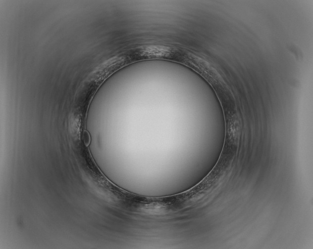 X0000115240551200911131706