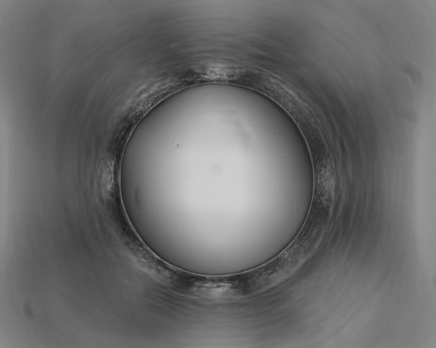 X0000115240554200911131706