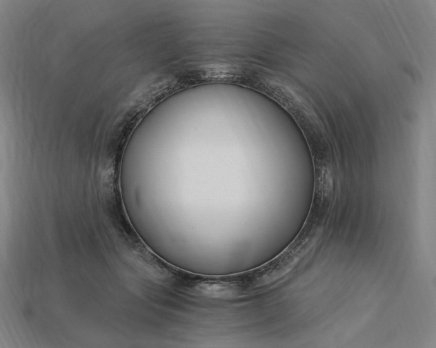 X0000115240557200911131706