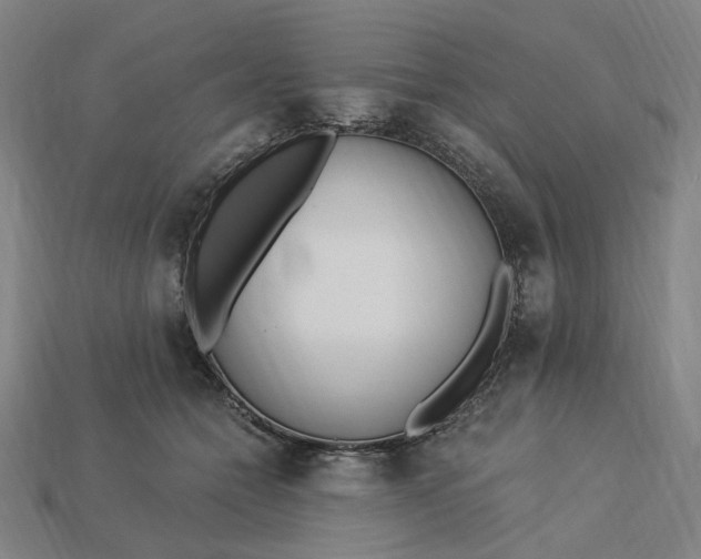 X0000115240558200911131706
