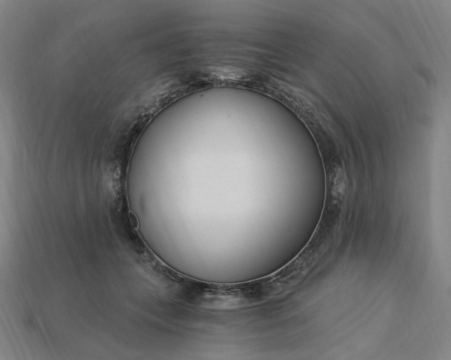 X0000115240559200911131706