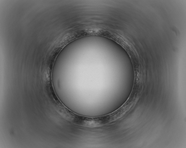 X0000115240561200911131706