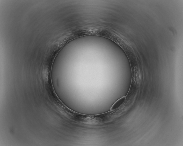 X0000115240562200911131706
