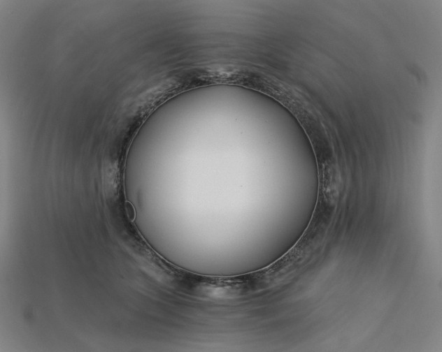 X0000115240563200911131706