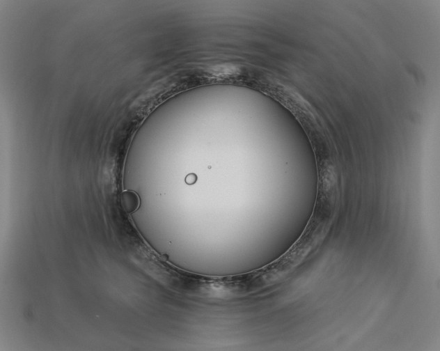 X0000115240565200911131706