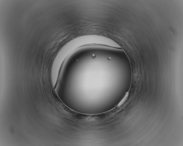 X0000115240566200911131706