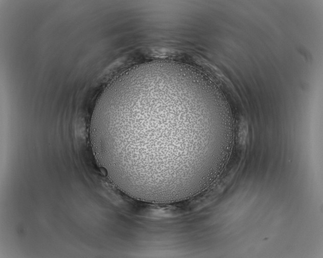 X0000115240569200911131706