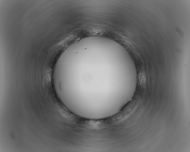 X0000115240570200911131706