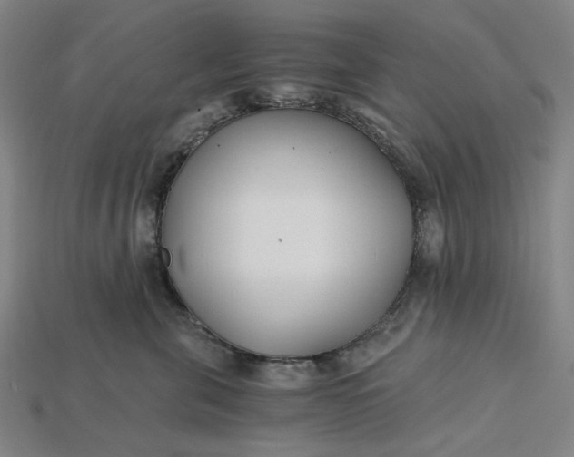 X0000115240571200911131706