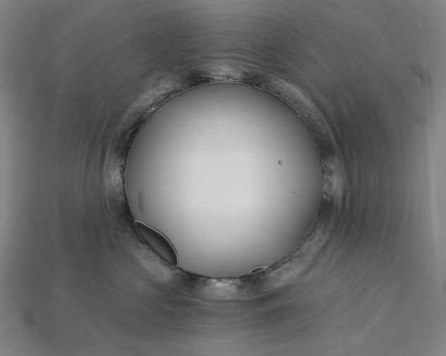 X0000115240573200911131707