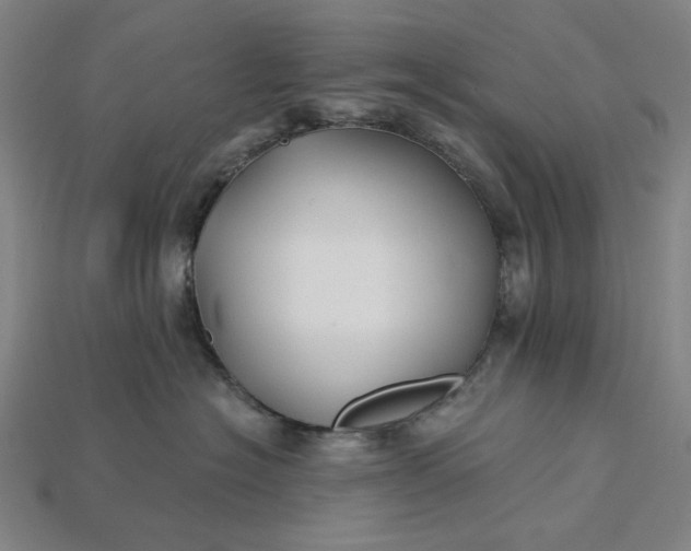X0000115240574200911131707