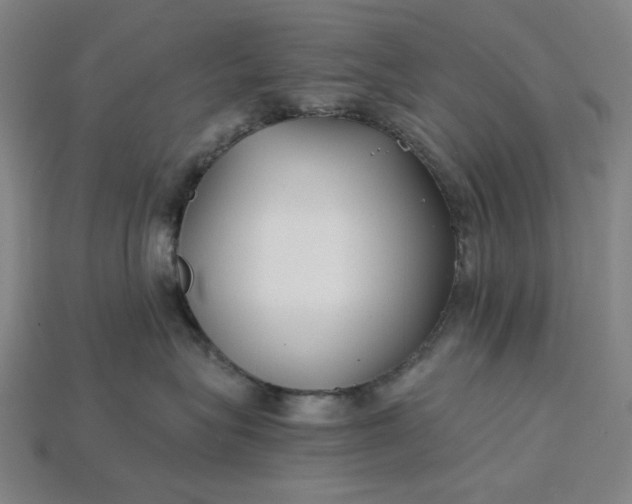X0000115240575200911131707