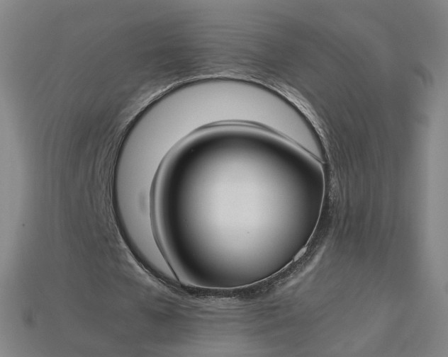 X0000115240577200911131706