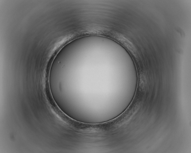 X0000115240578200911131706