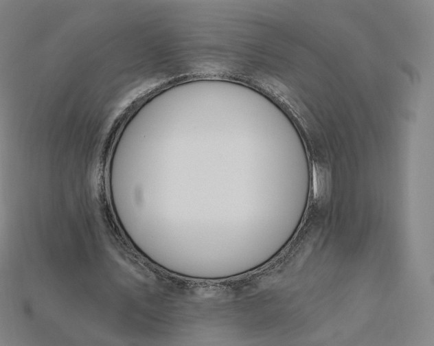 X0000115240579200911131706
