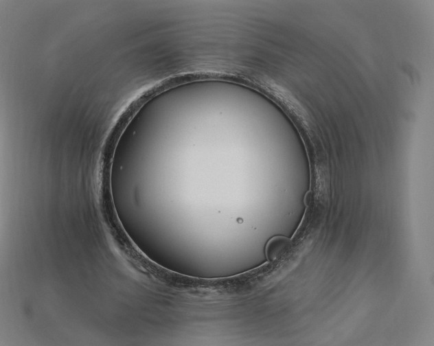X0000115240580200911131706