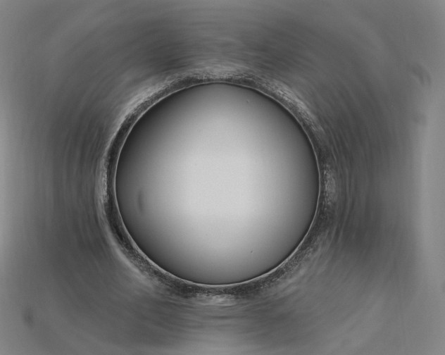 X0000115240582200911131706
