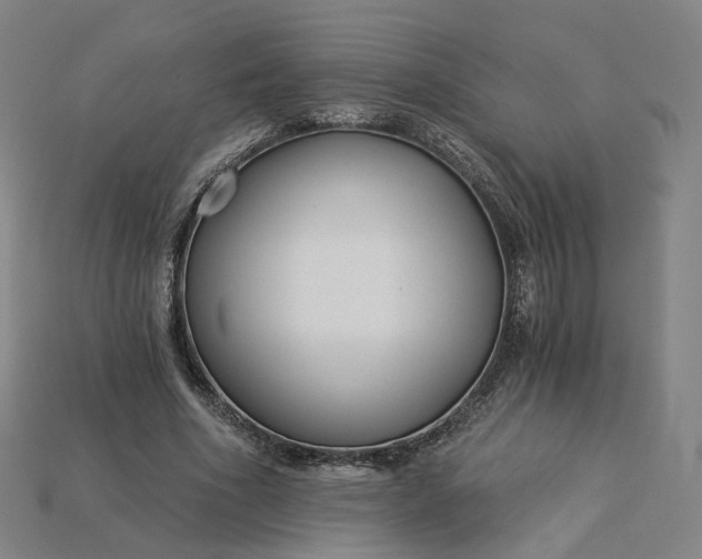 X0000115240586200911131706