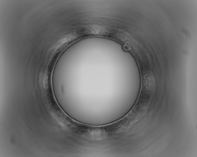 X0000115240587200911131706