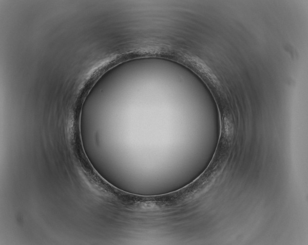 X0000115240588200911131706