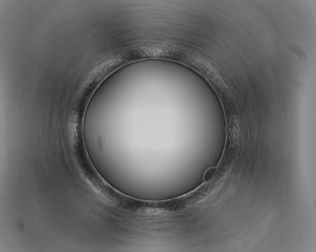 X0000115240590200911131706