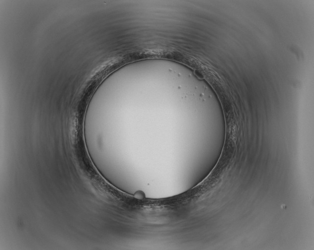 X0000115240591200911131706