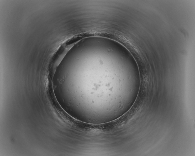 X0000115240592200911131706