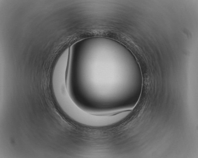 X0000115240593200911131706