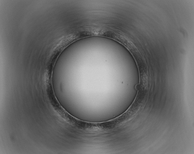 X0000115240594200911131706