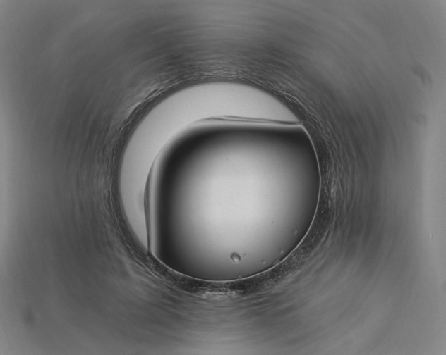 X0000115240595200911131706