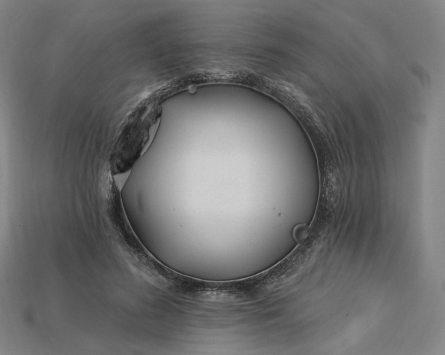 X0000115240596200911131706