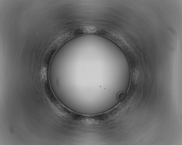X0000115240598200911131706