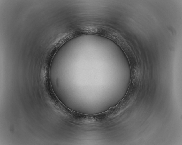 X0000115240600200911131706