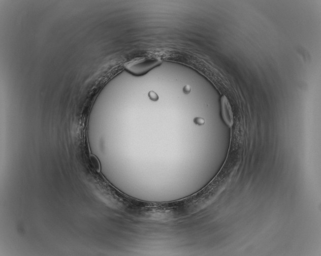 X0000115240601200911131706