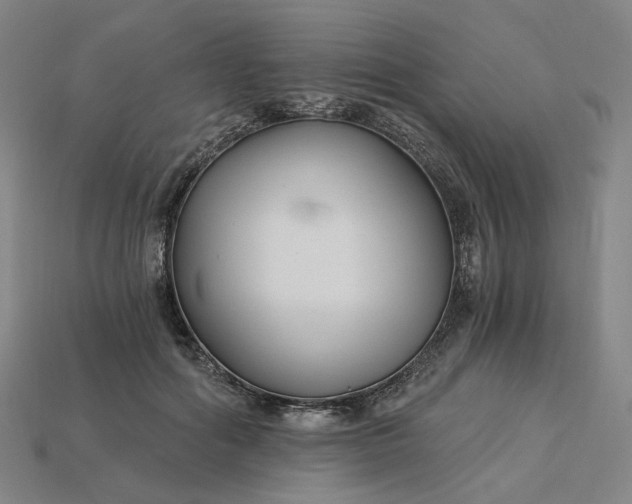 X0000115240602200911131706