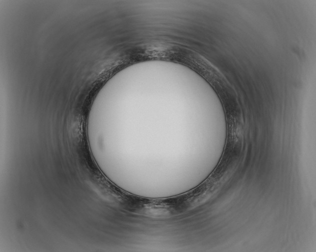 X0000115240603200911131706