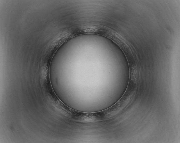 X0000115240604200911131706