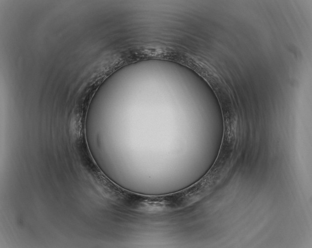 X0000115240606200911131706