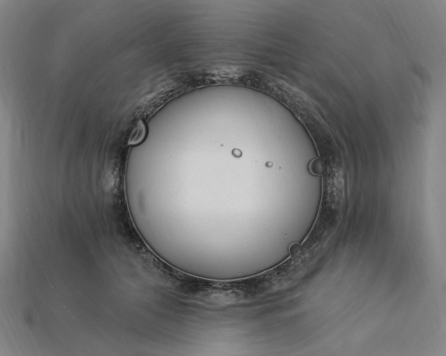 X0000115240608200911131706