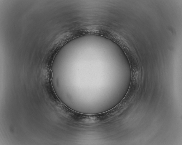 X0000115240609200911131706