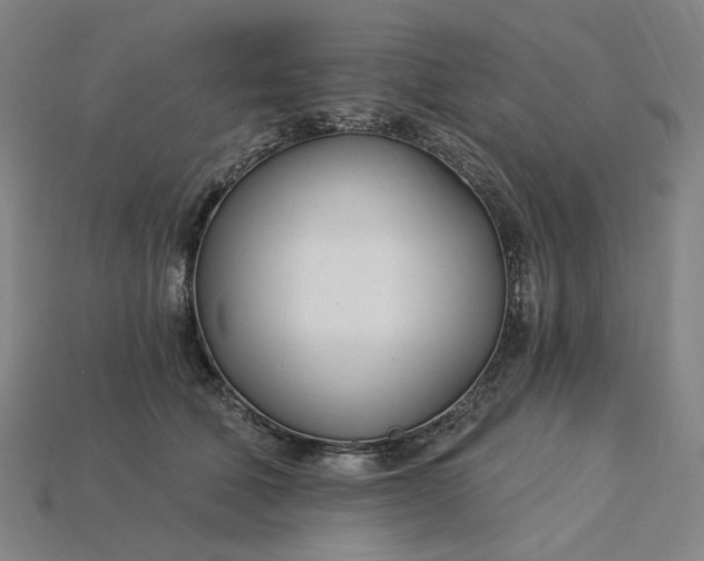 X0000115240610200911131706