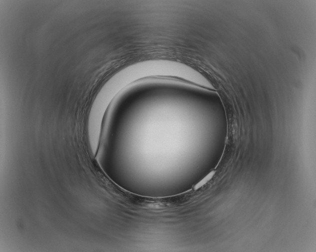 X0000115240611200911131706