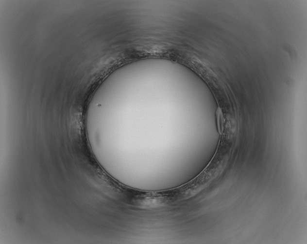 X0000115240612200911131705